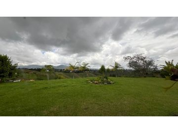 place photo 54
