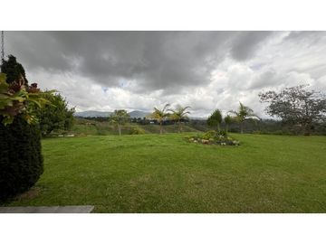 place photo 60