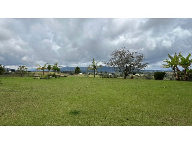 place photo 59
