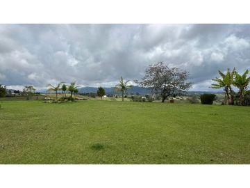 place photo 59