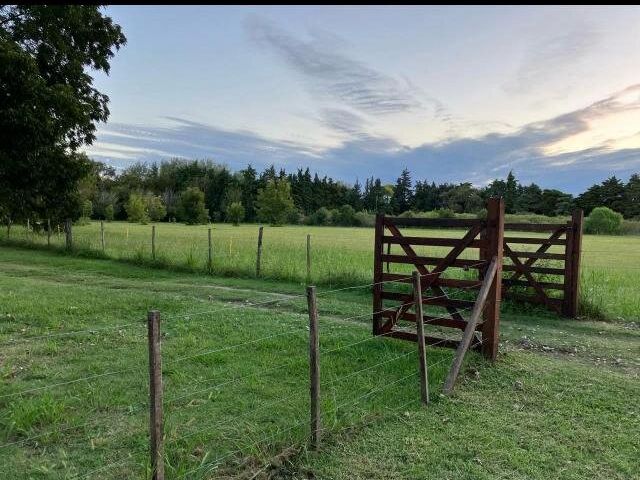 place photo 34