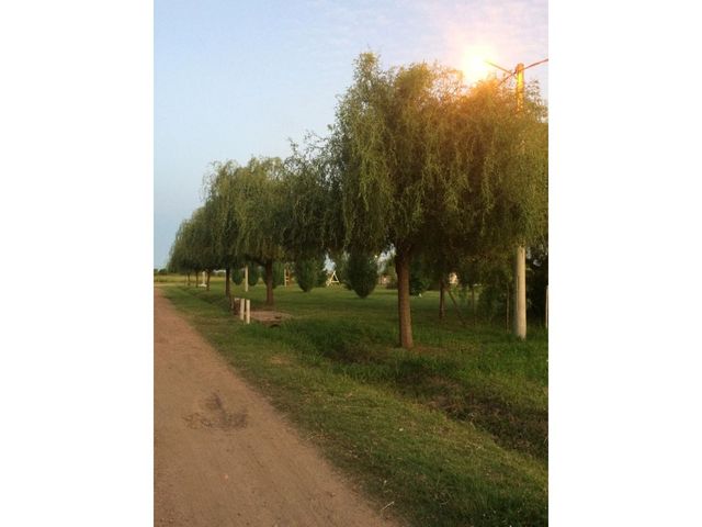 place photo 17