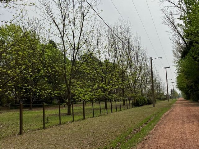 place photo 19