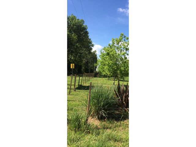 place photo 62