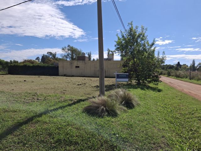 place photo 32