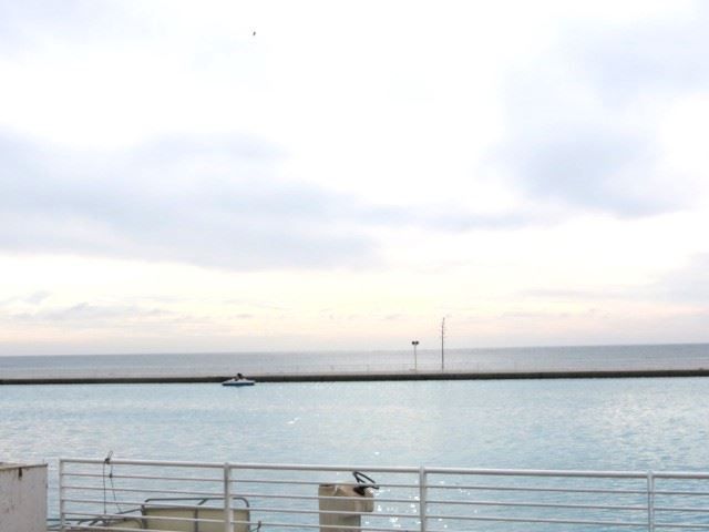 place photo 90