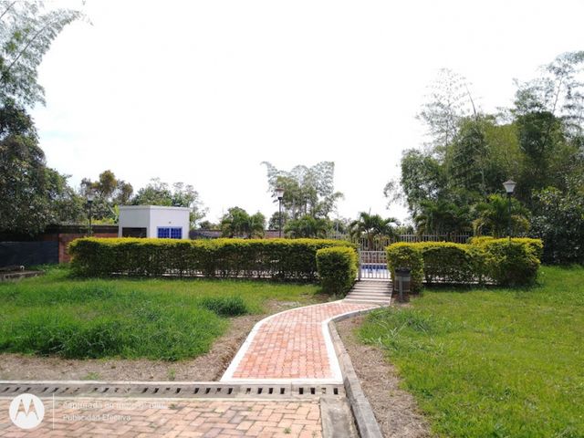 place photo 35