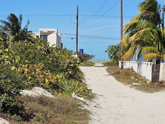 place photo 18