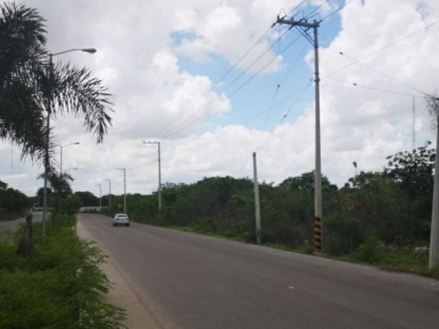 place photo 2