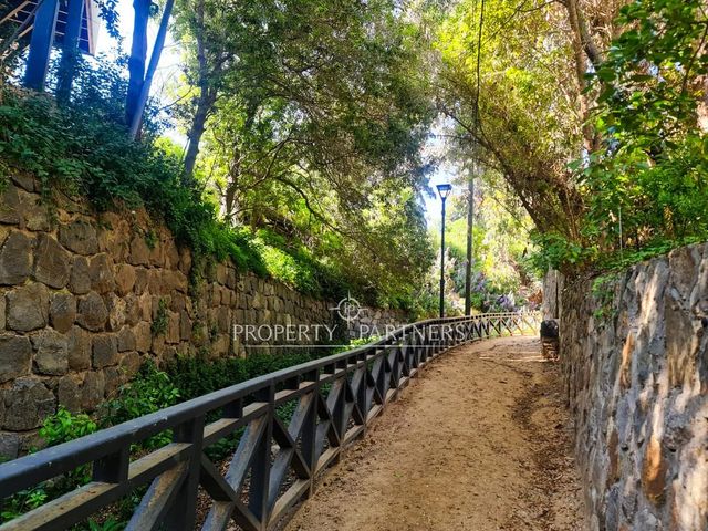 place photo 46