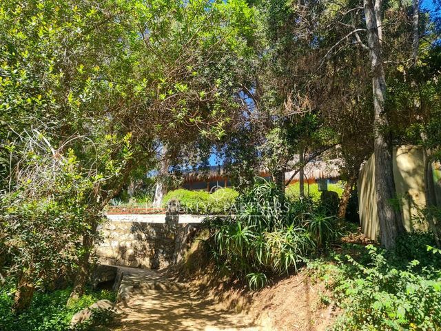 place photo 47