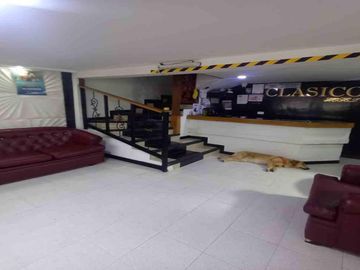 place photo 16