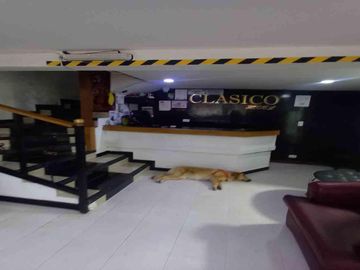 place photo 15