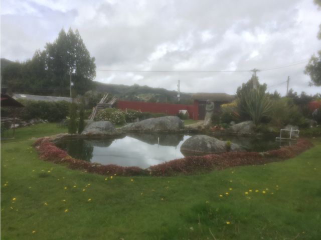 place photo 30