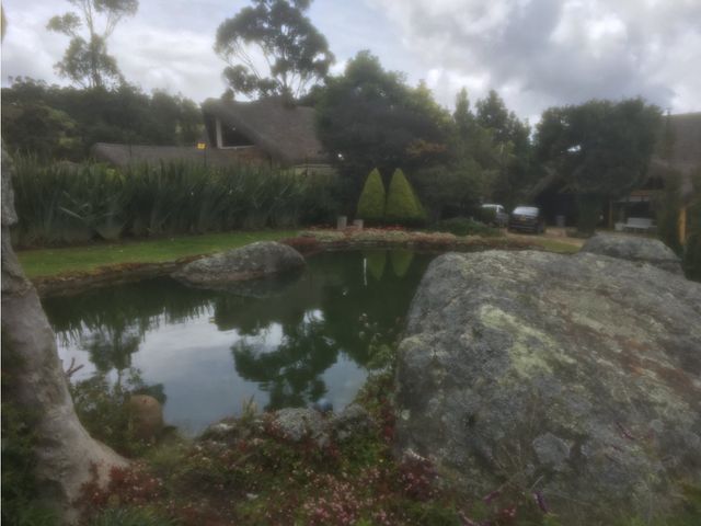 place photo 43