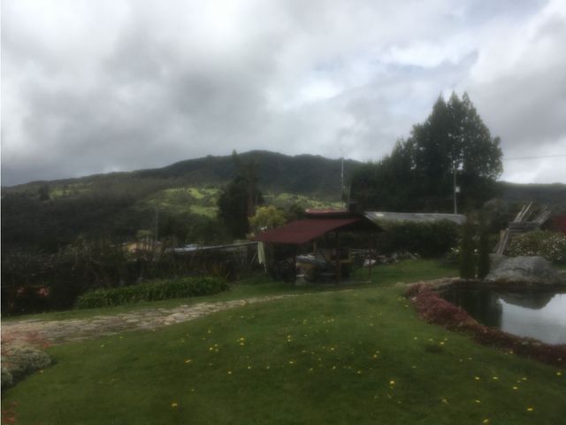 place photo 36