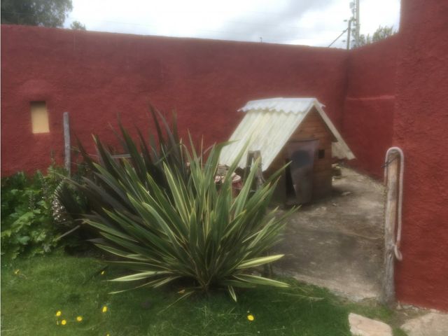 place photo 42