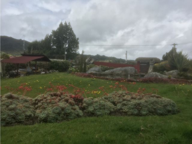 place photo 49