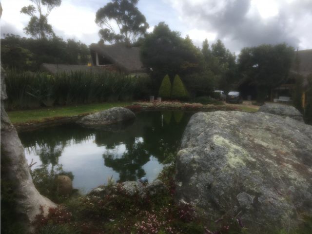 place photo 41
