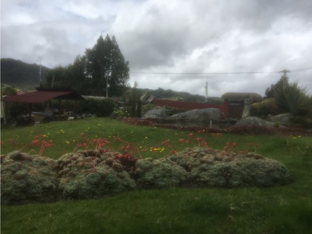 place photo 45