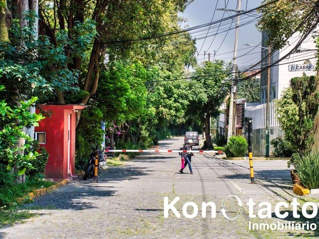 place photo 35