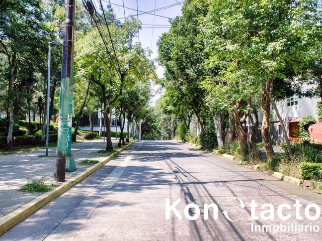 place photo 36