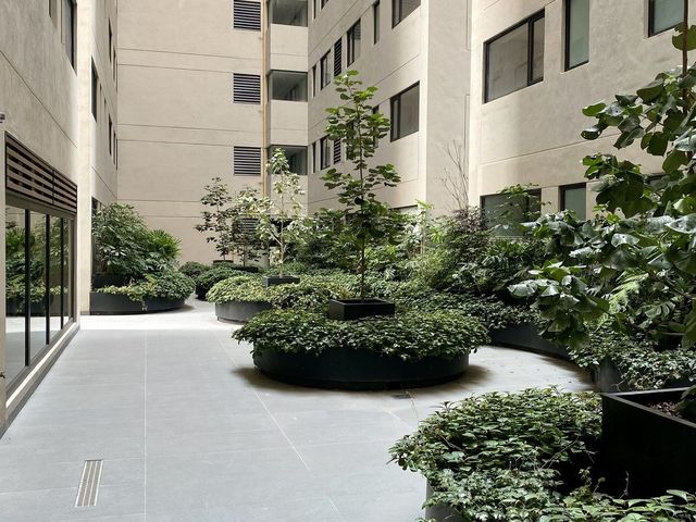 place photo 34