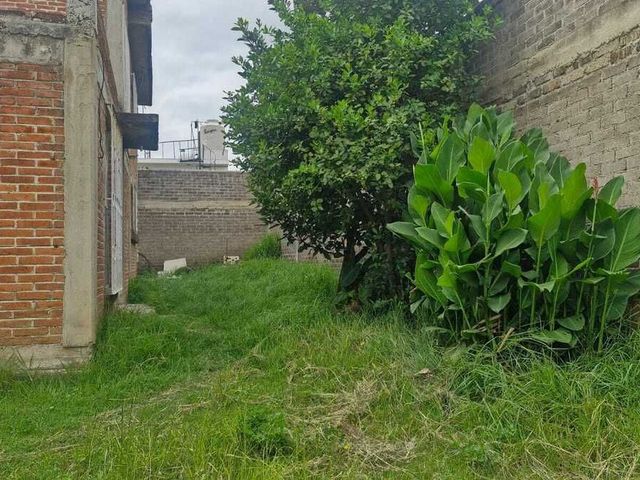 place photo 18