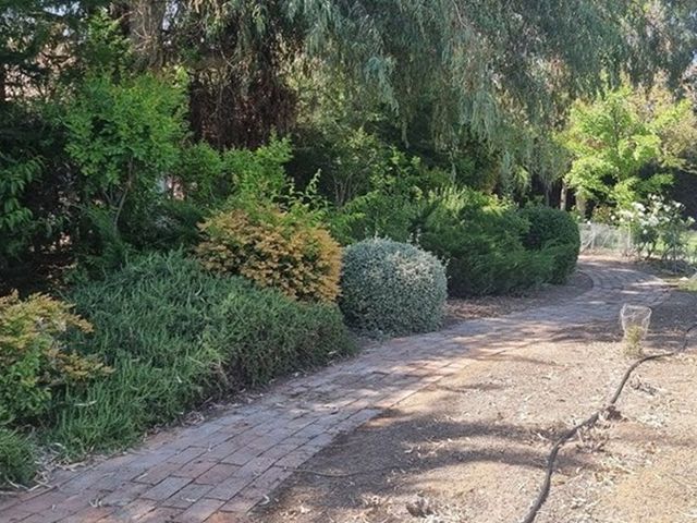 place photo 11
