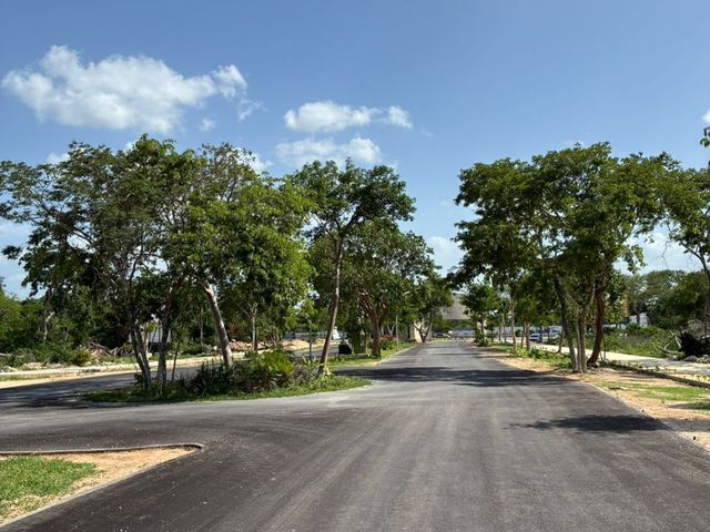place photo 21