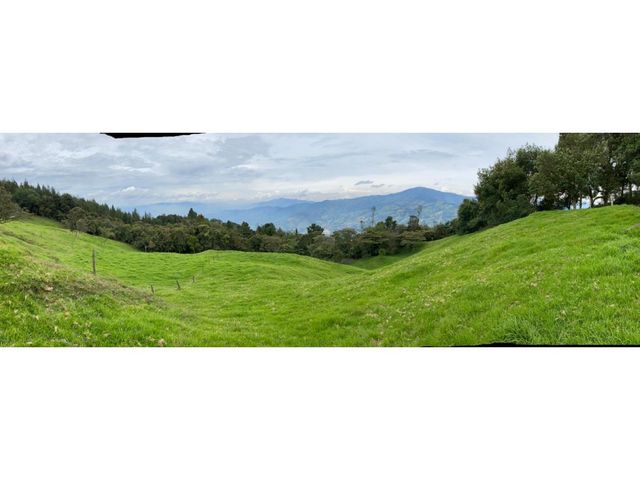 place photo 45