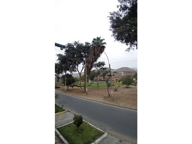 place photo 16