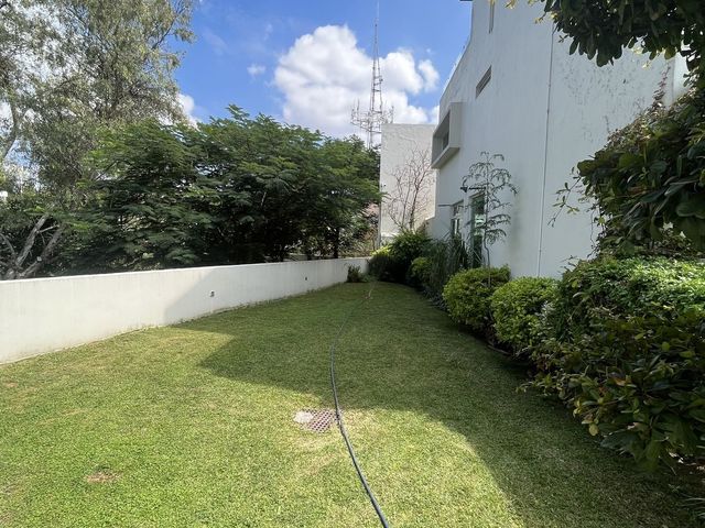 place photo 37