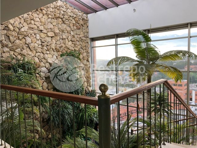 place photo 24