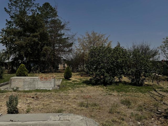 place photo 14