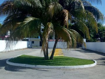 place photo 11