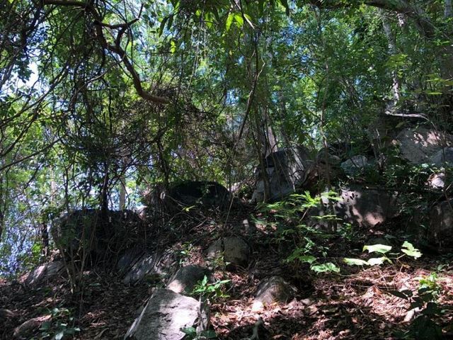 place photo 13