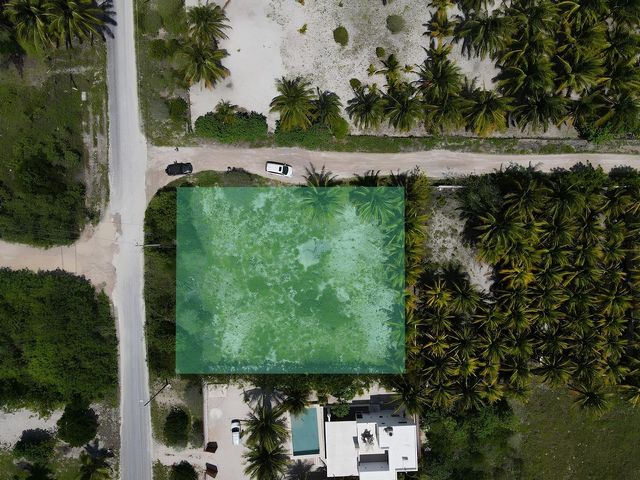 place photo 8