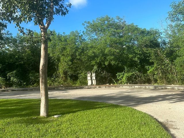 place photo 23