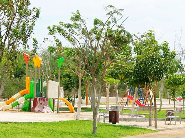 place photo 18