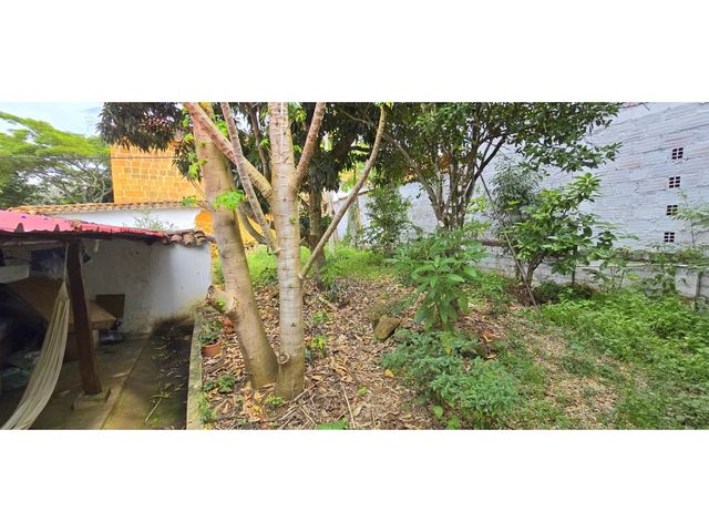 place photo 34