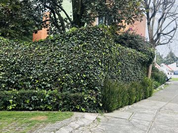 place photo 28