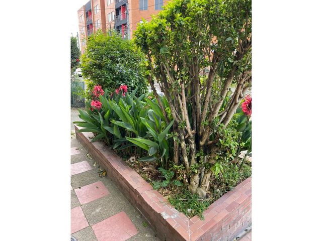 place photo 14