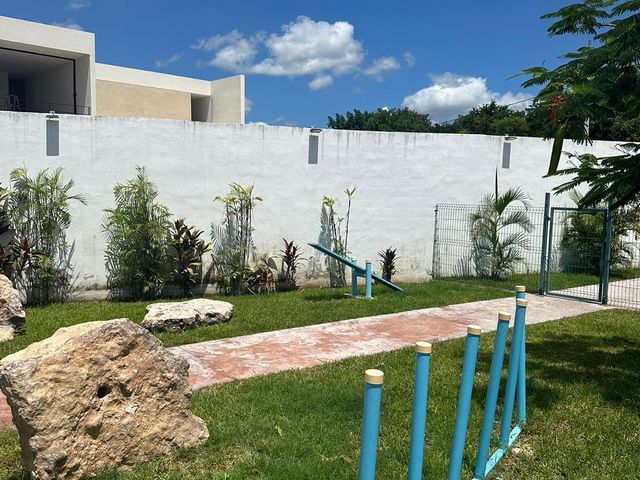 place photo 29