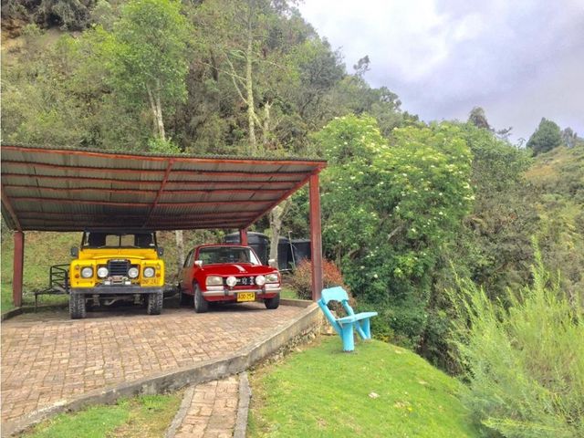 place photo 28