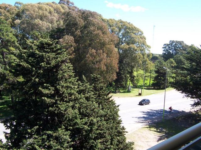 place photo 40