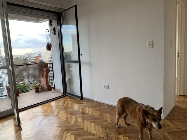 place photo 9