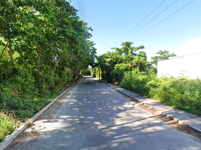 place photo 6