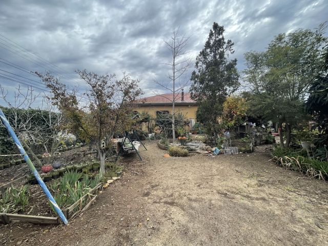 place photo 26