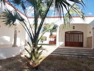 place photo 36